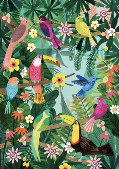 Petit Monkey Poster, Rainforest Birds