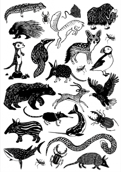 Petit Monkey Kinder-Tattoos, Black Animals