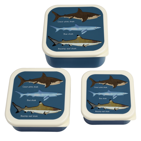 Rex London Set 3 Snack-Dosen, Sharks