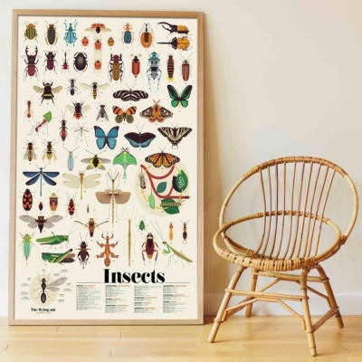 Poppik Stickerposter Discovery (1 Poster + 44 Stickers), Insekten